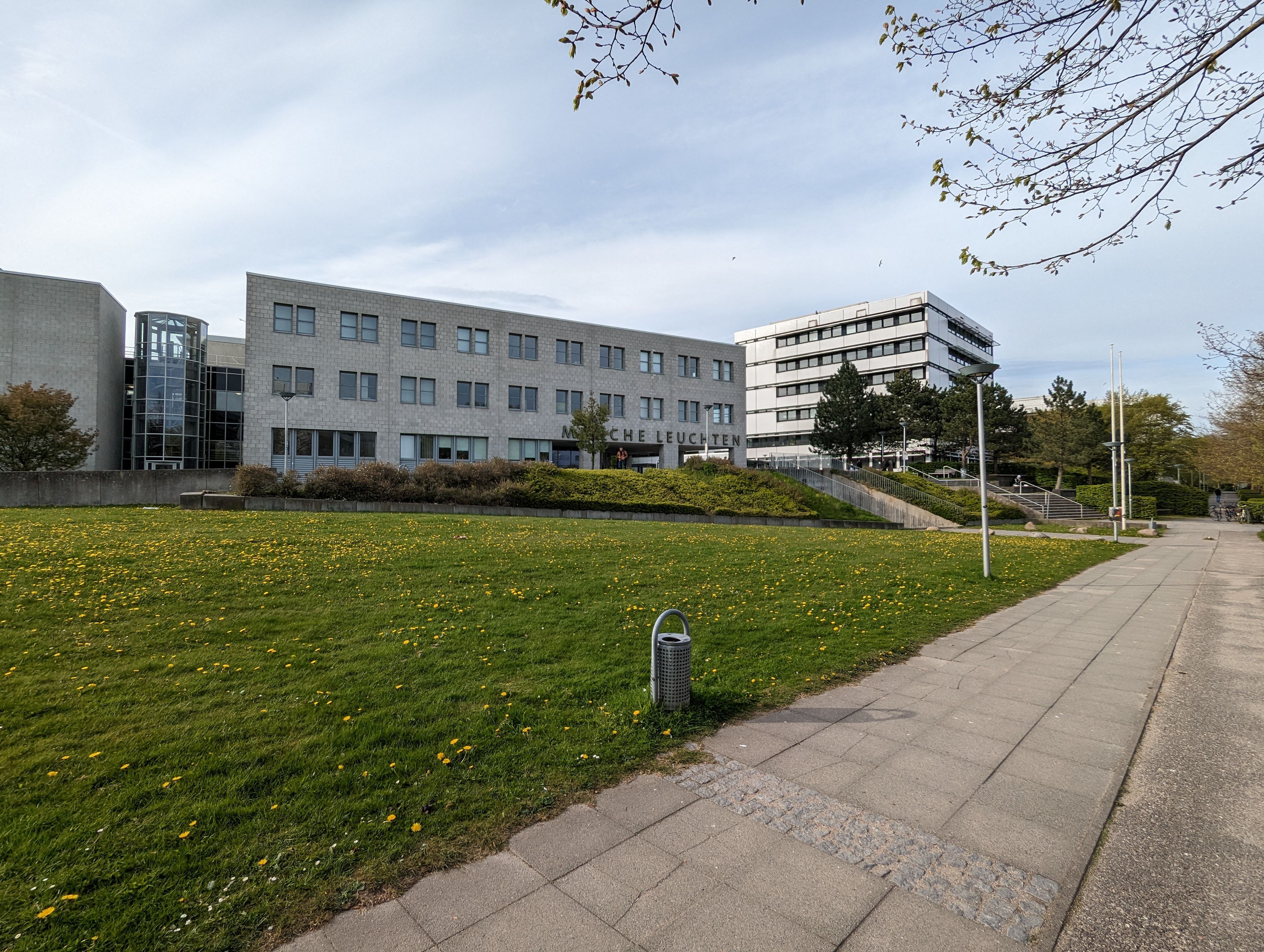 Blick auf die Unibibliothek und die davor liegende Grünfläche von der Leibnizstraße aus